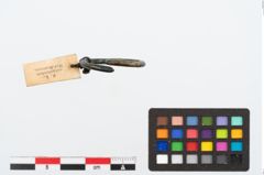 Foto von Bronzering (NHMW-PRAE-024709)